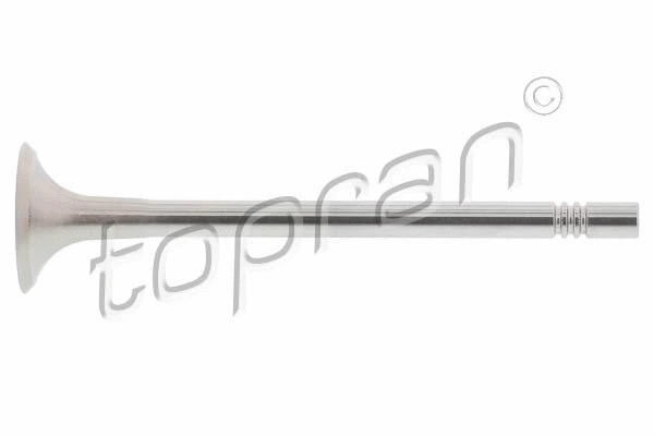 Exhaust Valve (116 859)