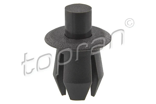 Expanding Rivet (109 022)