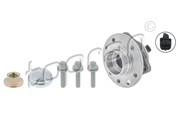 Wheel Bearing Kit (207 391)