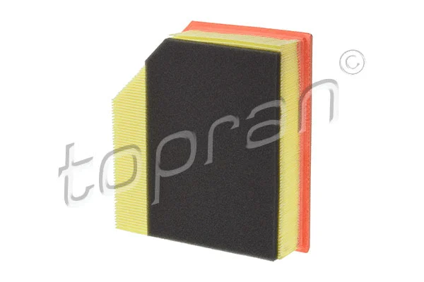 Air Filter (600 636)