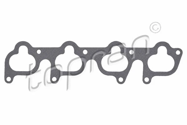 Gasket, intake manifold (100 727)