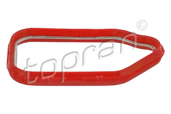 Gasket, timing case (408 632)