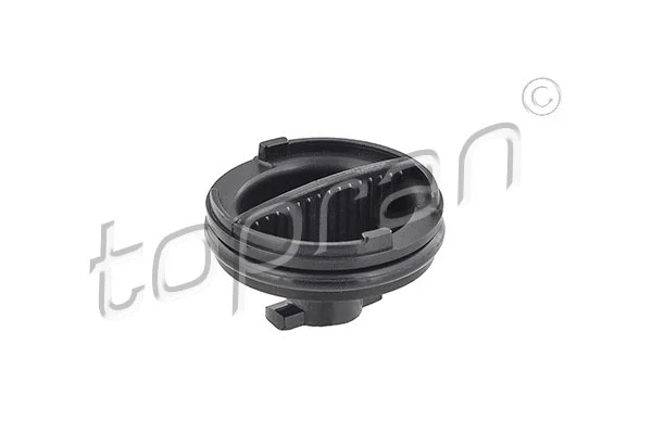 Screw Plug, oil sump (304 784)