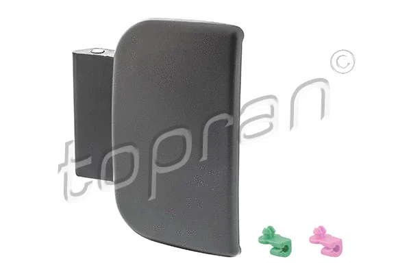 Exterior Door Handle (721 717)