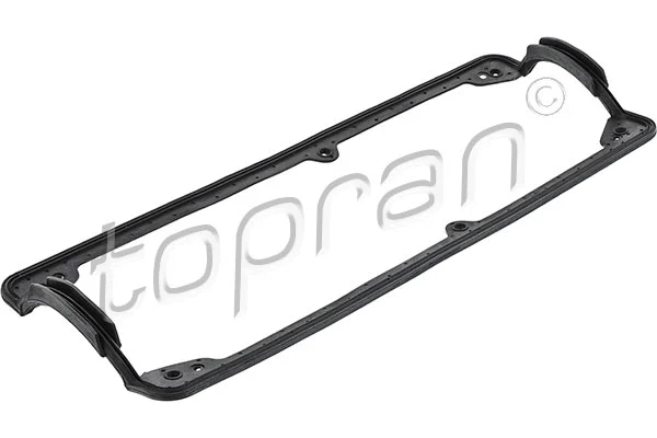Gasket, cylinder head cover (100 544)