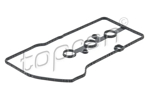 Gasket, cylinder head cover (722 444)