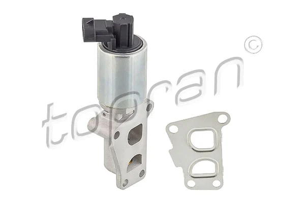 EGR Valve (207 442)