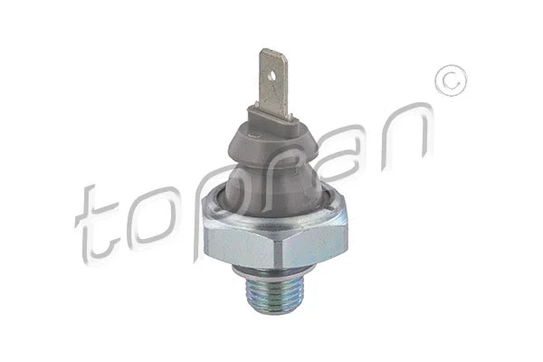 Oil Pressure Switch (101 508)