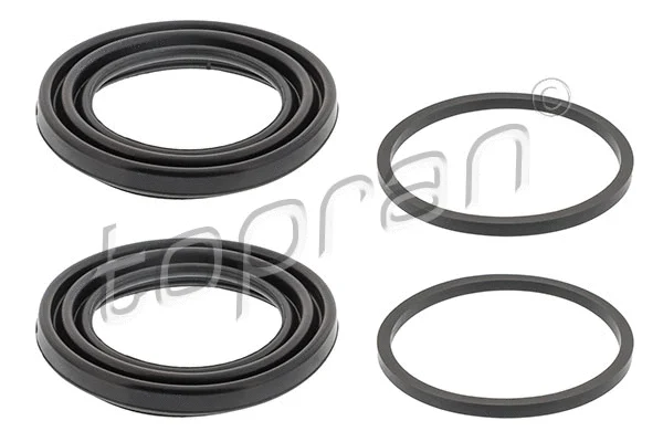 Repair Kit, brake caliper (110 305)