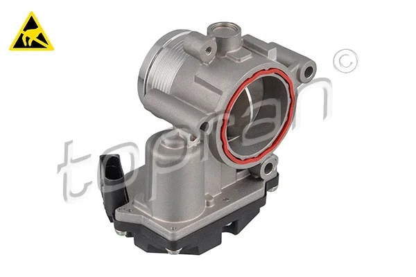 Throttle Body (117 304)