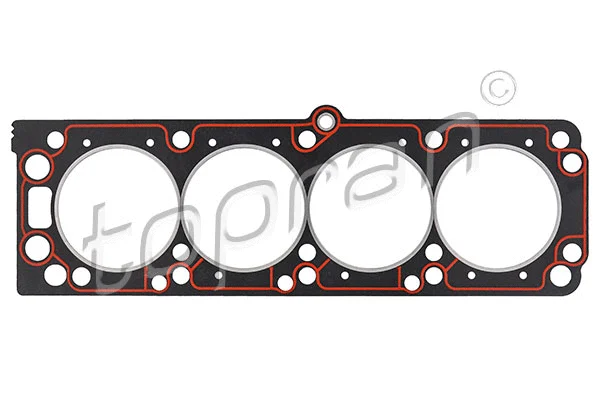 Gasket, cylinder head (203 844)