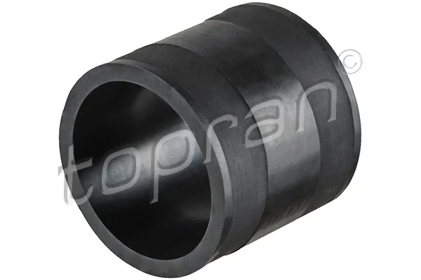 Charge Air Hose (113 914)
