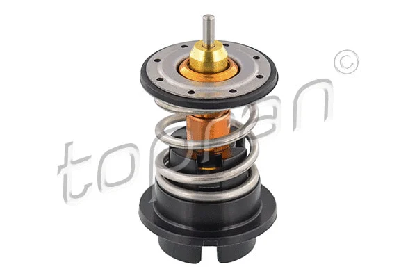 Thermostat, coolant (117 252)