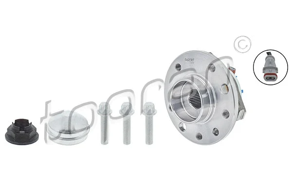 Wheel Bearing Kit (207 390)