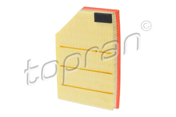 Air Filter (600 637)