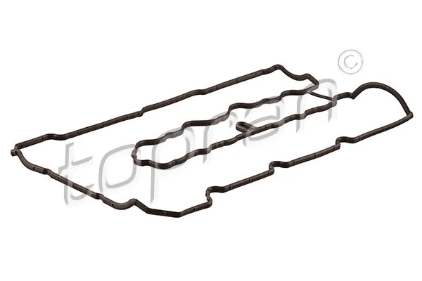 Gasket, cylinder head cover (502 636)