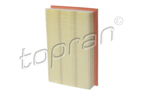 Air Filter (620 870)