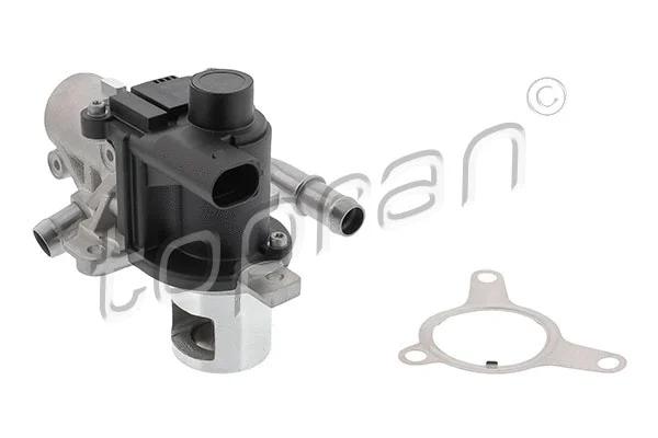 EGR Valve (639 193)