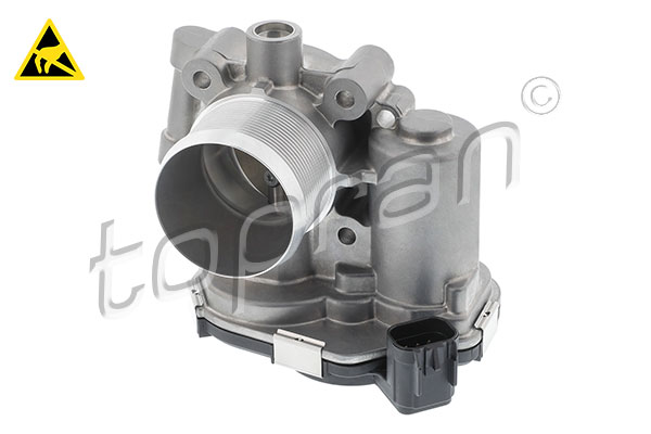 Throttle Body (209 353)