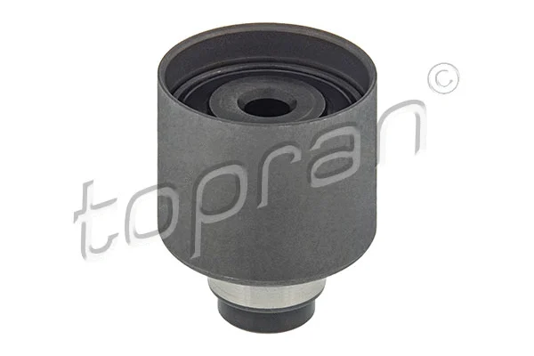 Deflection/Guide Pulley, timing belt (109 321)