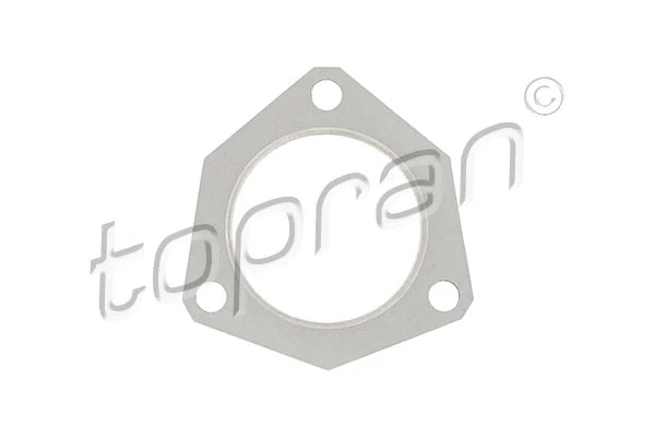 Gasket, exhaust pipe (107 203)