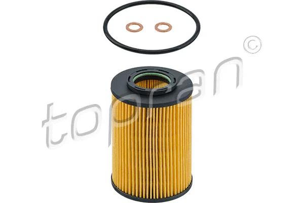 Oil Filter (820 113)