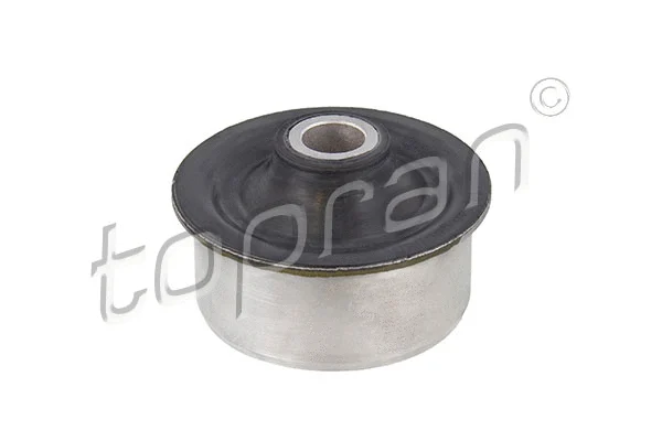 Mounting, control/trailing arm (300 078)