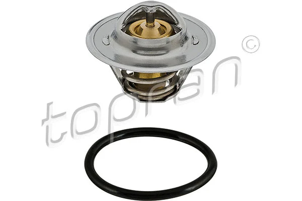 Thermostat, coolant (113 851)