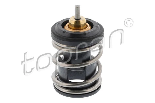 Thermostat, coolant (116 999)
