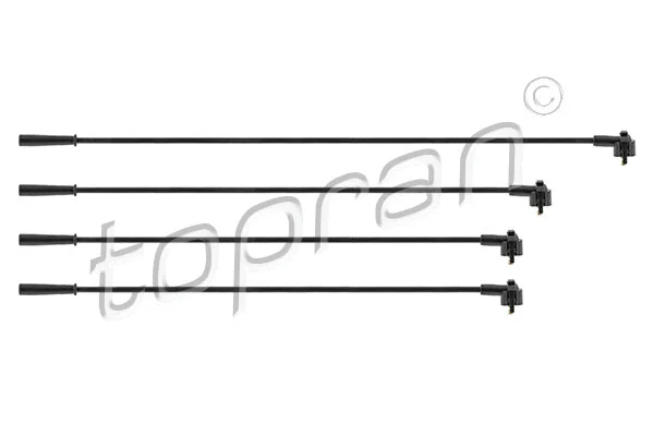 Ignition Cable Kit (300 706)