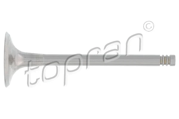 Intake Valve (110 200)