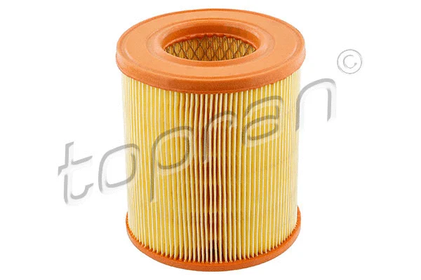 Air Filter (110 899)