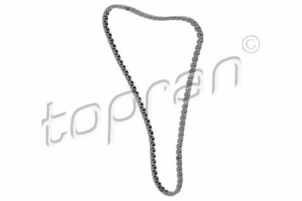 Timing Chain (116 211)