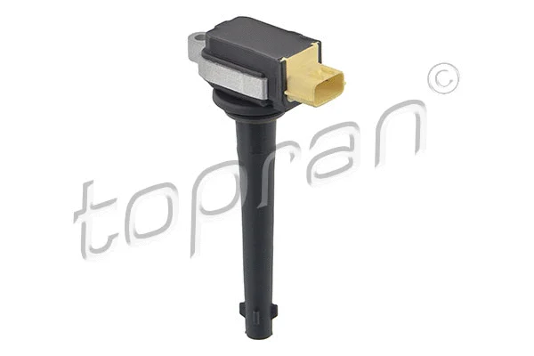 Ignition Coil (701 017)