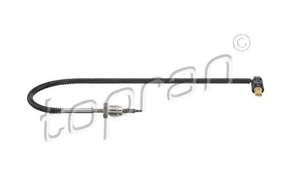 Sensor, exhaust gas temperature (409 584)