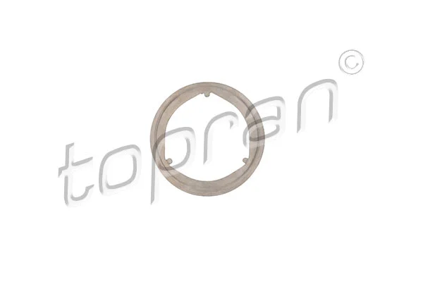 Gasket, exhaust pipe (111 960)