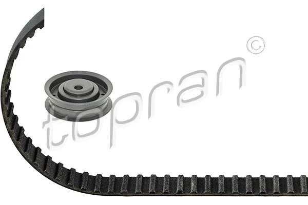 Timing Belt Kit (101 059)