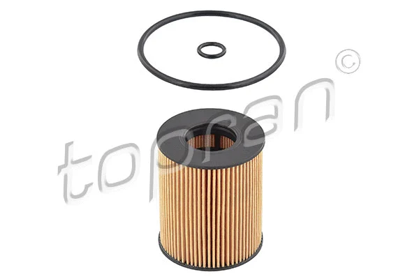 Oil Filter (301 914)