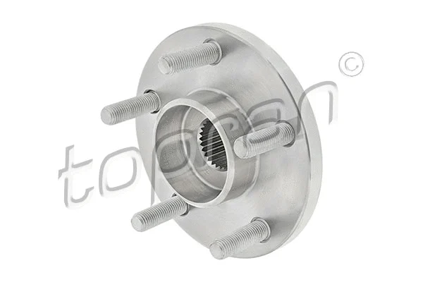 Wheel Hub (304 866)