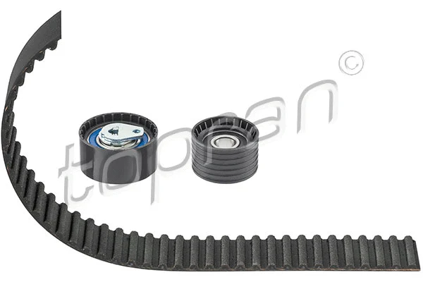 Timing Belt Kit (701 063)