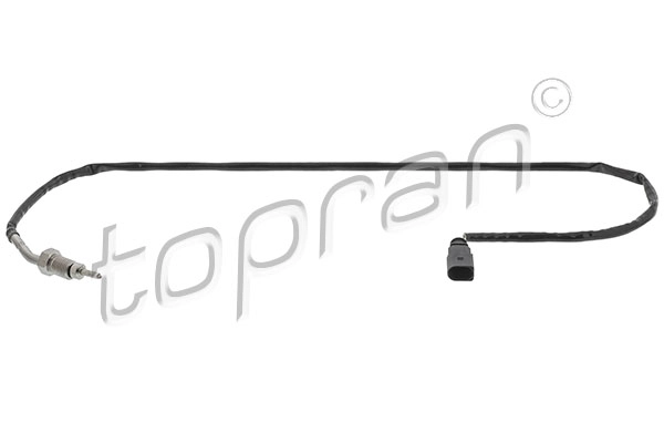 Sensor, exhaust gas temperature (119 567)