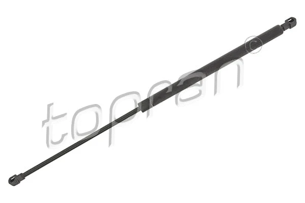 Gas Spring, boot/cargo area (206 318)