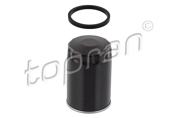 Oil Filter (101 090)