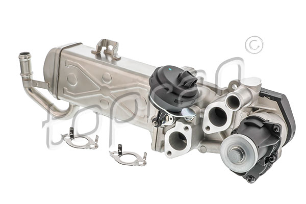 Cooler, exhaust gas recirculation (117 222)