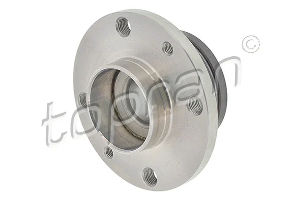 Wheel Bearing (600 301)