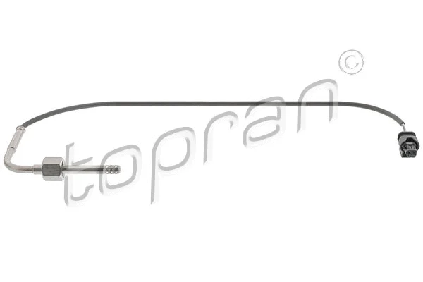 Sensor, exhaust gas temperature (409 581)