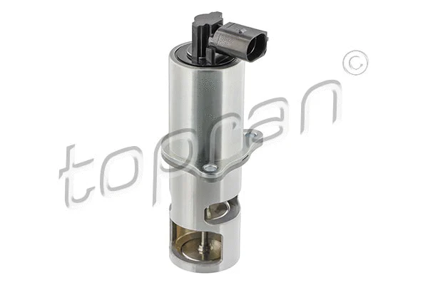 EGR Valve (207 439)