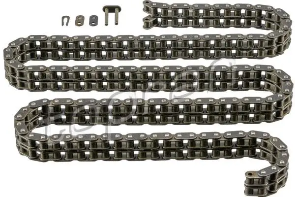 Timing Chain (408 059)