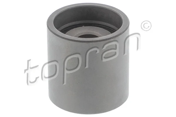 Deflection/Guide Pulley, timing belt (107 507)