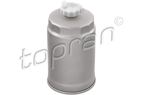 Fuel Filter (820 176)